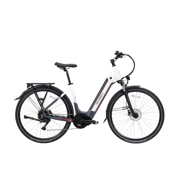 Elektrokolo GoGEN Salta MX 720 28" 17" šedé/bílé